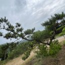 (주) 한울조경 이미지