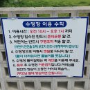 다솔강 | 베리와 함께하는 경주 펜션다솔강 후기 &amp; 준비물 팁! 수영장 후기