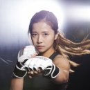 송가연 카카오 검색결과