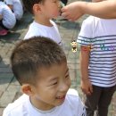 선원초등학교 이미지