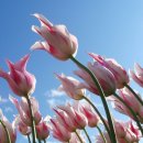 태안펜션더홈 이미지