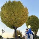 영남루 | 가을 나들이 밀양 영남루 방문 후기