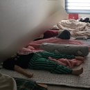 판타스틱코인노래연습장 세종나성점 | 뒤늦은 광복절 세종 나들이 이야기, 한정선 엽떡 바뷔치 빈스텔라 베찌케이크 역할맥 아구찜 돈룩업