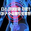 수성 메트로 동물병원 이미지