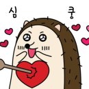 소한마리통으로 이미지