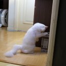 오광장맷돌순두부 | 집콕 챌린지!