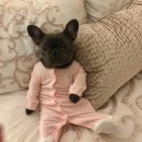 부산맘아동병원 이미지