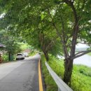 광천읍 삼봉마을회관 이미지