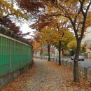 루미에버의원 | 2021. 11