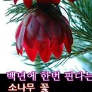 구월1동-17 이미지