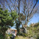 포구나무 민박 이미지