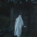 아동안전관리 | 할로윈 아동 코스튬 추천: 귀엽고 안전한 어린이 의상 아이디어 총정리