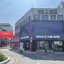 스케쳐스전주고사