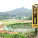 도그랜드 이미지