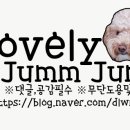 멍스쿠킹 이미지