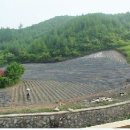 평창팜영농조합법인 이미지