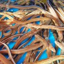 뮤지엄 남해 이미지