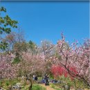 초안산근린공원 | [동네산책] 노원구 - 초안산 근린공원과 불암산 나비정원, 도심 속 가장 고요한 녹지