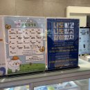 피터펫 미사점 이미지