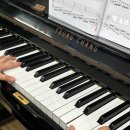 신월동231 이미지