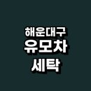 대우하얀세탁 | 부산 해운대구 추천 카시트 세탁 유모차 전문업체 잘하는곳 정보 강아지 스팀 자외선 친환경 비용 후기