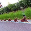 원평초교 이미지