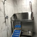 멍얀트리 이미지