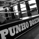 푸노키즈복싱 이미지