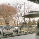 파스타 아미고 이미지