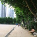 시민운동장 이미지