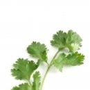 하나로한의원 이미지