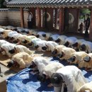 서원푸드 이미지