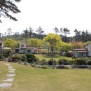 꽃잎펜션 이미지