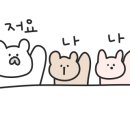 꼬모플레리