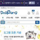 도그팡 이미지