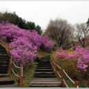 아름따다 이미지