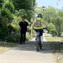 세류동 수원천 옆 길 이미지