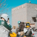 로얄다방 이미지