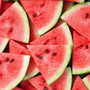 더우개로 이미지