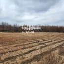 테크노황금공인중개사사무소 이미지