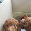 남창원동물병원 이미지