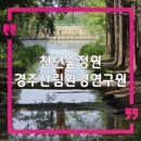 경주산림환경연구원 | 경주 산책로 경주산림환경연구원 천년숲정원, 천년의숲