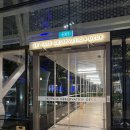 전망대 | 싱가포르 마리나베이 샌즈 스카이파크 전망대 무료 이용 후기