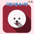 숑사탕 이미지