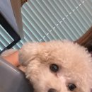 에이스침대 대전사옥 | 대전신혼여행 &#34;플래닛투어&#34; 계약 후기✈️(내돈내산)