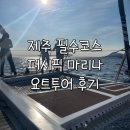 제주하늘바람 | 제주 퍼시픽 마리나 요트투어 추천 및 내돈내산 후기｜제주 여행 코스, 효도여행, 할인받는법
