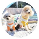 속초애견동반펜션 양양재인스가든 이미지