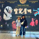 태양이 사라진 세상 공연 이미지