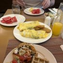 아도호텔(ADO Hotel) | 인생 여행지 소개합니다 - 이슬라데무헤레스 요트투어⛵️,플라야델카르멘