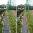 해남 제일중학교 이미지